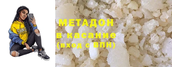 прущие грибы Абаза