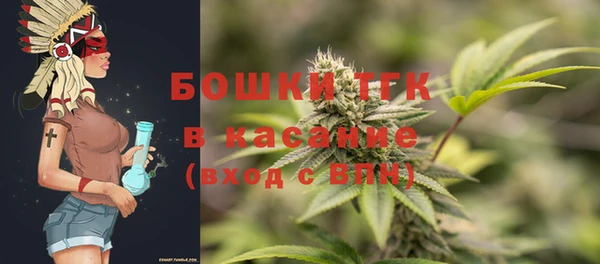 шишки Алексин