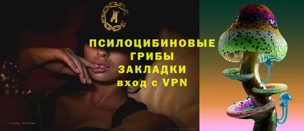 2c-b Абдулино