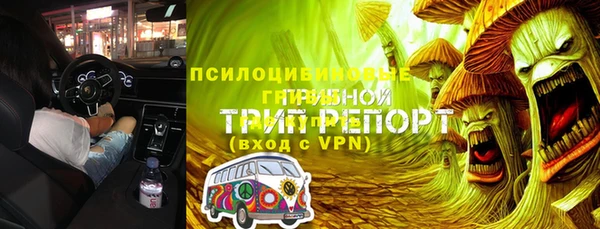 ГАЛЛЮЦИНОГЕННЫЕ ГРИБЫ Алзамай