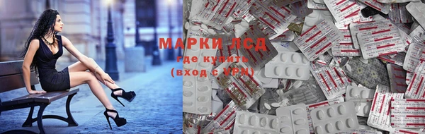 прущие грибы Абаза