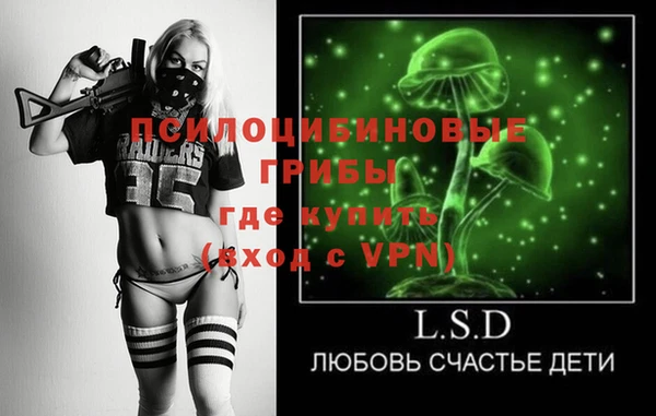 шишки Алексин