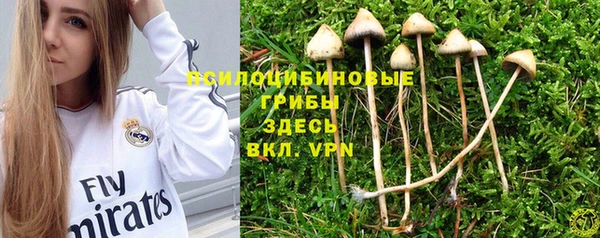кристаллы Алексеевка
