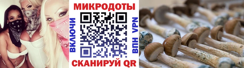 ОМГ ОМГ онион  наркошоп  Дзержинск  Псилоцибиновые грибы GOLDEN TEACHER 